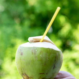 Coconut Water  (Dlo Kokoye) Market Price
